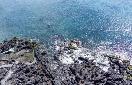 Beach Front Villa - Photo 37