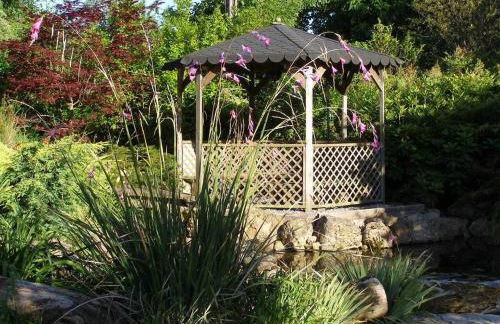 El Pedrueco turismo rural - Foto 49