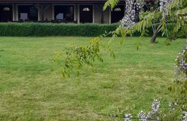 Apartamenty Pod Debem (Ferienwohnungen an der uralten Eiche) - Foto 16