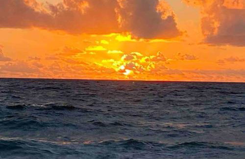 New & Blue - 2 blocks to the beach - Photo 26