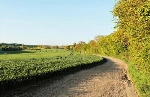 Ferienhof Schwien - Foto 17