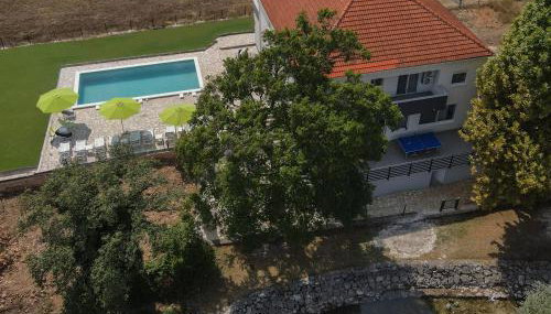 Green Diamond - Foto 2