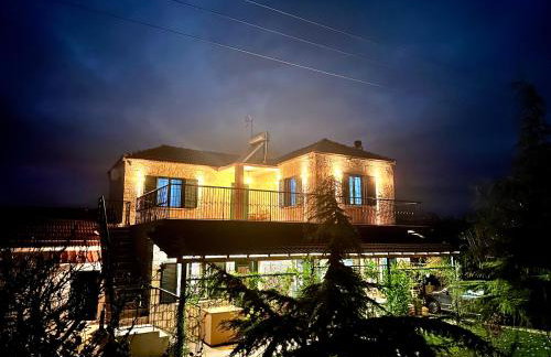 Orange Lemon Garden - Foto 42