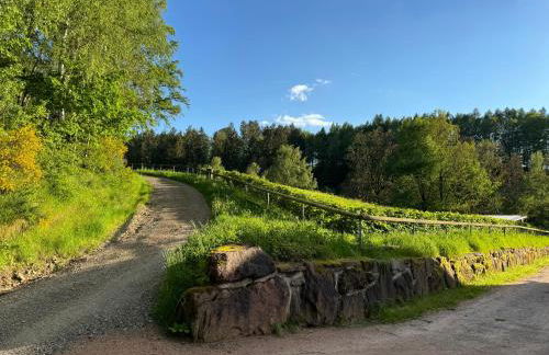 Apartment im Wald - mit Schwimmbad! - Foto 42