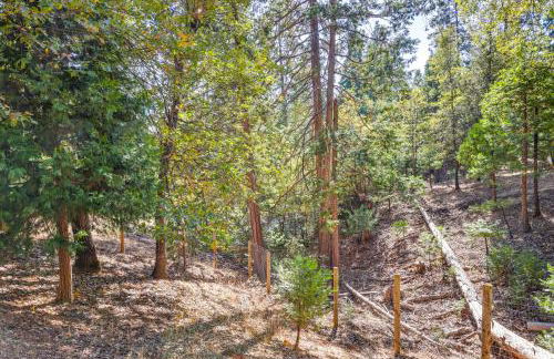 Forest-View Retreat Grill and Fireplace in Sonora - Foto 26