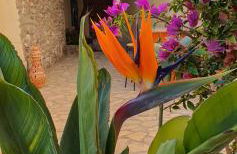 El Jardin Secreto - Foto 4