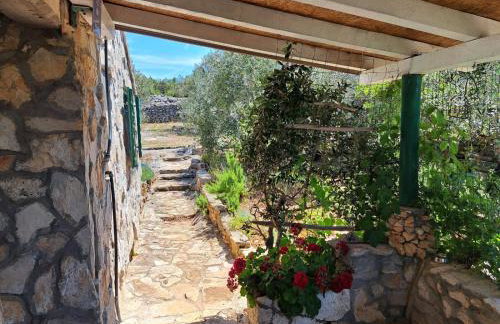 House Murtelica - Photo 26