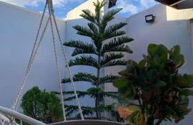 Casa villa Gravatá - Foto 33