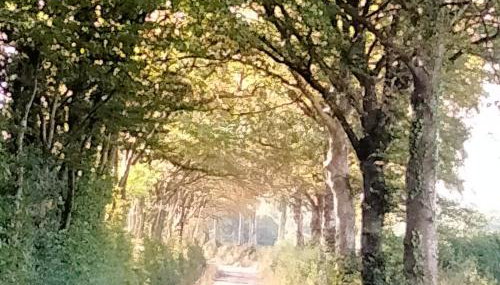 The Dovecote - Foto 4