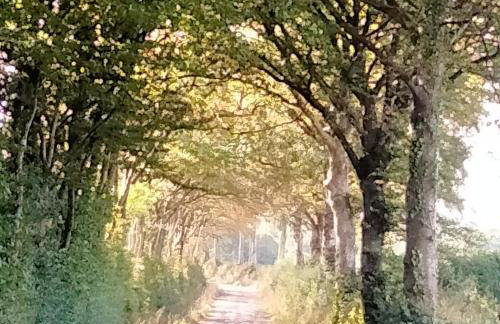 The Dovecote - Foto 4