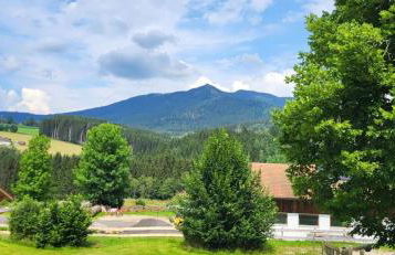 Ferienwohnung Osser Woid - Foto 22