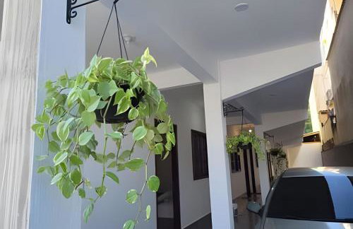 Suites Angra Sol e Mar - Foto 59