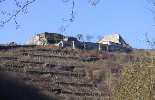 Relaxen im alten Winzerhaus Fewo OG - Foto 54