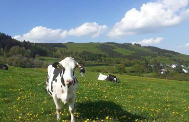 Ferienwohnungen Sternenhimmel WHG 1 - Foto 40