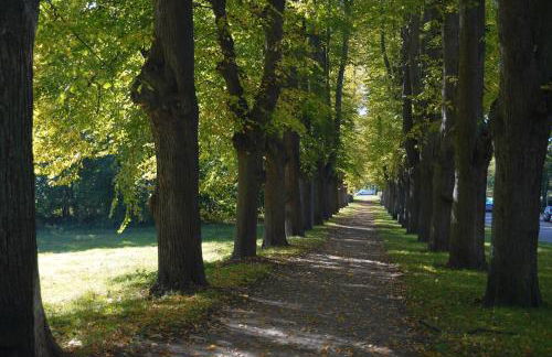 Design Apartment Plön - Foto 70