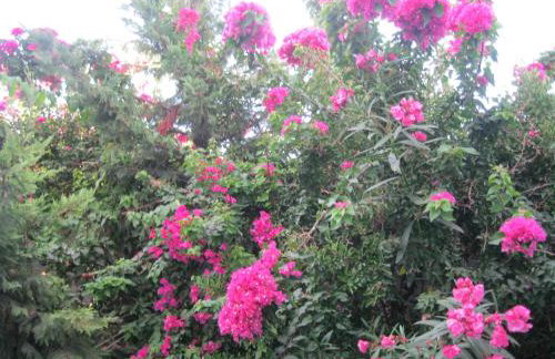 Meletis Studios - Foto 45