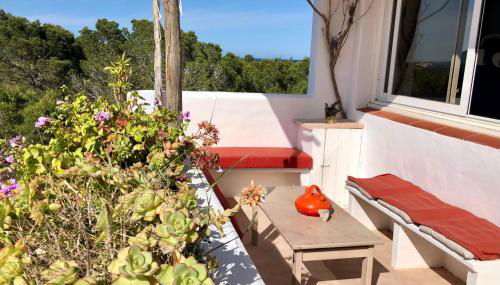 ED REXII ático - Foto 3