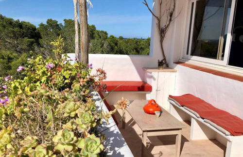 ED REXII ático - Foto 3