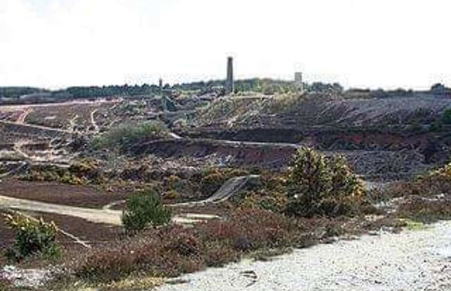 Lovely 3-bed Annex Located on a Working Farm - Foto 17