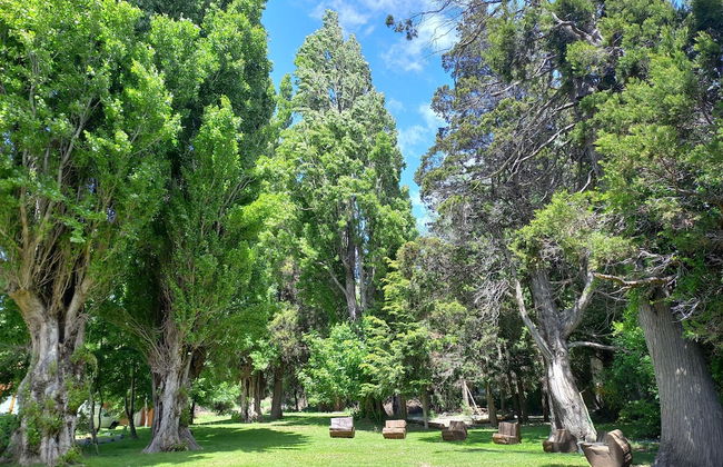 Rochester Bariloche - Foto 10