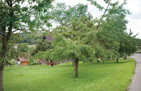 Nice Apartment In Lügde With Wifi - Foto 14