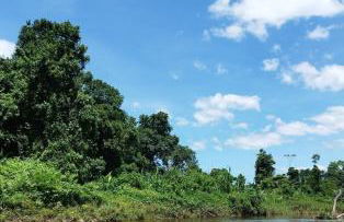 casa da mata - Foto 1