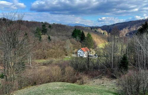 Villa Andjelija - Foto 36