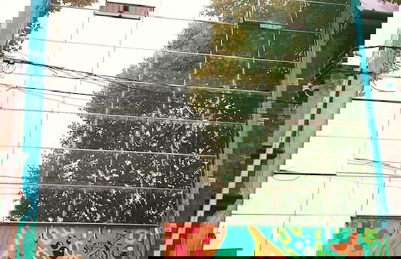 Tacha Apartments - Foto 25