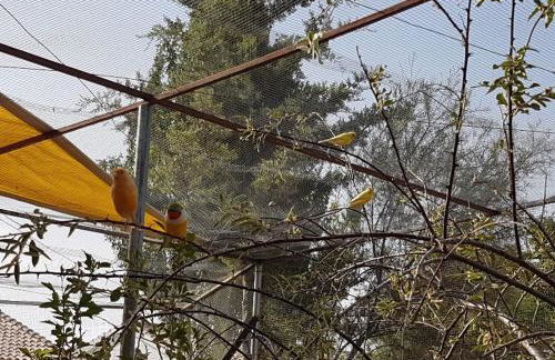 Complejo Rural Ibipozo - Foto 67