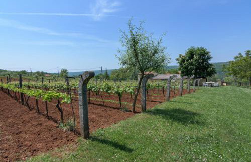Family friendly house with a parking space Sveti Martin, Central Istria - Sredisnja Istra - 7849 - Foto 12