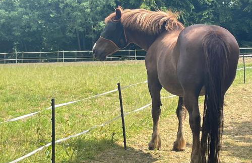 Greatwood Shepherds Hut - Foto 25