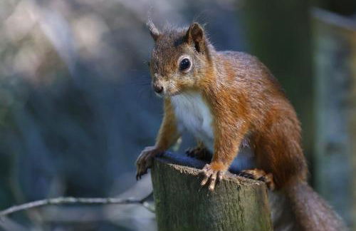 Hobbits Landing - Foto 9