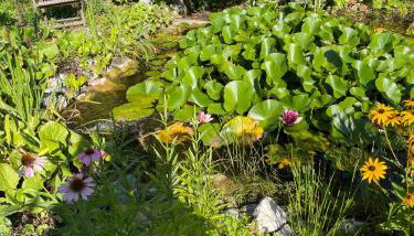 Traumhaftes Wohnen beim Badesee - Foto 3