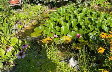Traumhaftes Wohnen beim Badesee - Photo 3