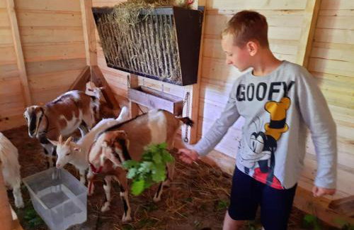 Osada Jelonki Wielka Puszcza - Foto 74