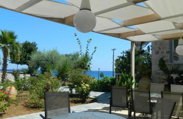 Filyra Xenonas - Foto 19