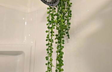 Jungle House Columbus Downtown Free Parking Sleeps 6 - Steps to Convention Center & Nationwide Arena - 1BR Short North Luxury Home - Over 5,800 Five Star Stays - Foto 32