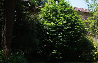 Chapel House of Palacio de Hualle near Comillas - Photo 32