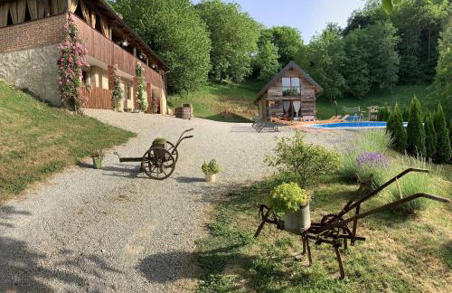 Family friendly house with a swimming pool Novi Marof, Zagorje - 19184 - Foto 2