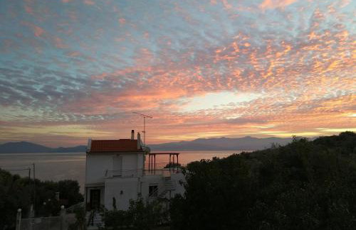 Seaside Boutique Villa - Foto 20