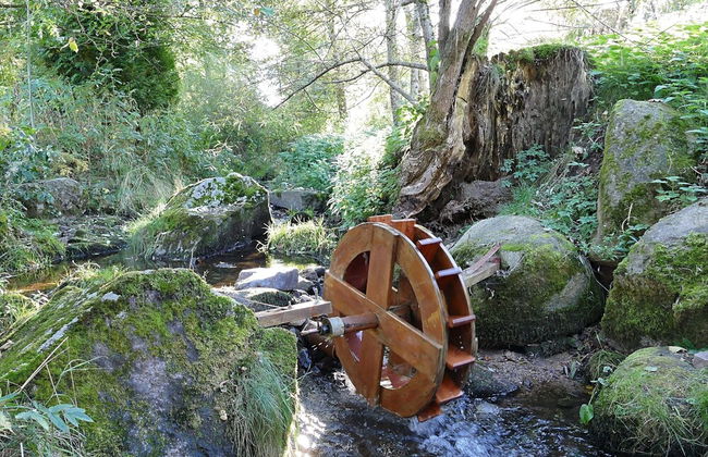 Historisches Ferienhaus im Schwarzwald - Foto 15