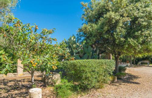 Can Mostatxet - Foto 49