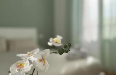 Cesare Guest House - Foto 11