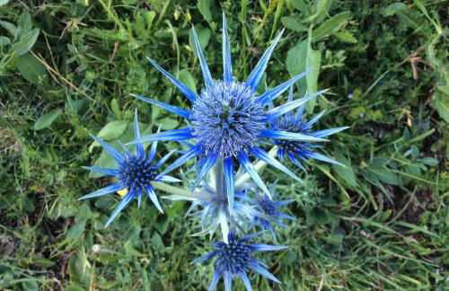 Casa Carlà - Foto 25