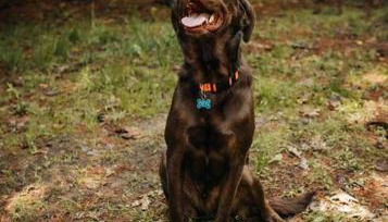 Rustic Ridge - Photo 2