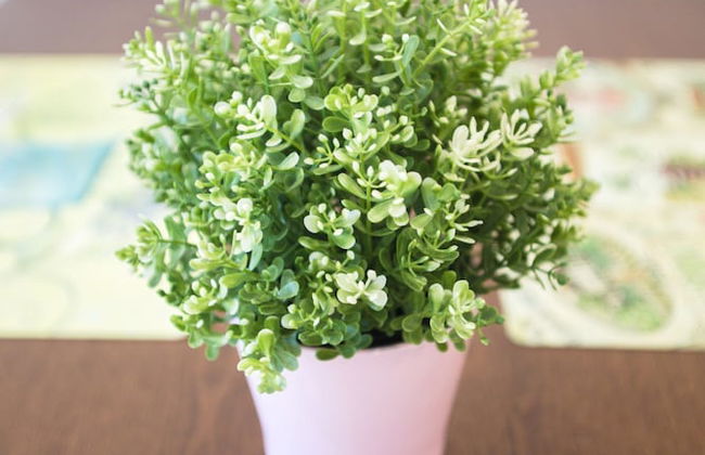 OwnAStay Midhill by Symphony Suite - Photo 74