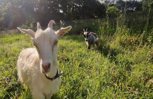 Gîte de la Petite Ferme Bretonne - Foto 1