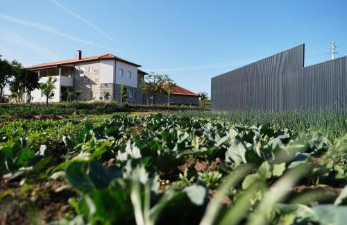 Aldeia da Quinta do Paço - Turismo rural Santo Tirso - Foto 116