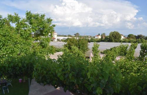 Κτήμα Κωνσταντινίδη - Photo 37