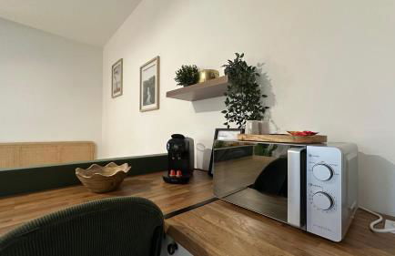 Le Petit Oasis - 50m de la gare de Nevers - Foto 11